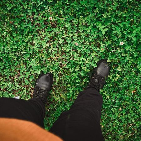 Chale Romantico Com Banheira De Hidromassagem E Lareira Bom Retiro  Kültér fotó
